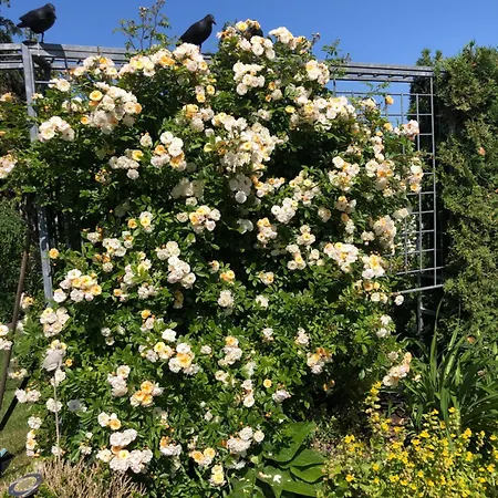 Fulda West Monteur Wohnen Auf Zeit Großenlüder